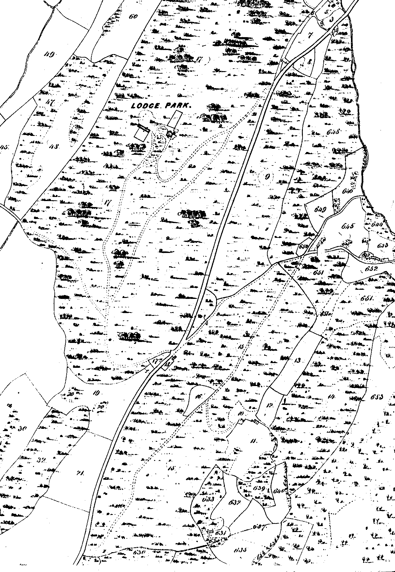 Map y degwm - Tithe map